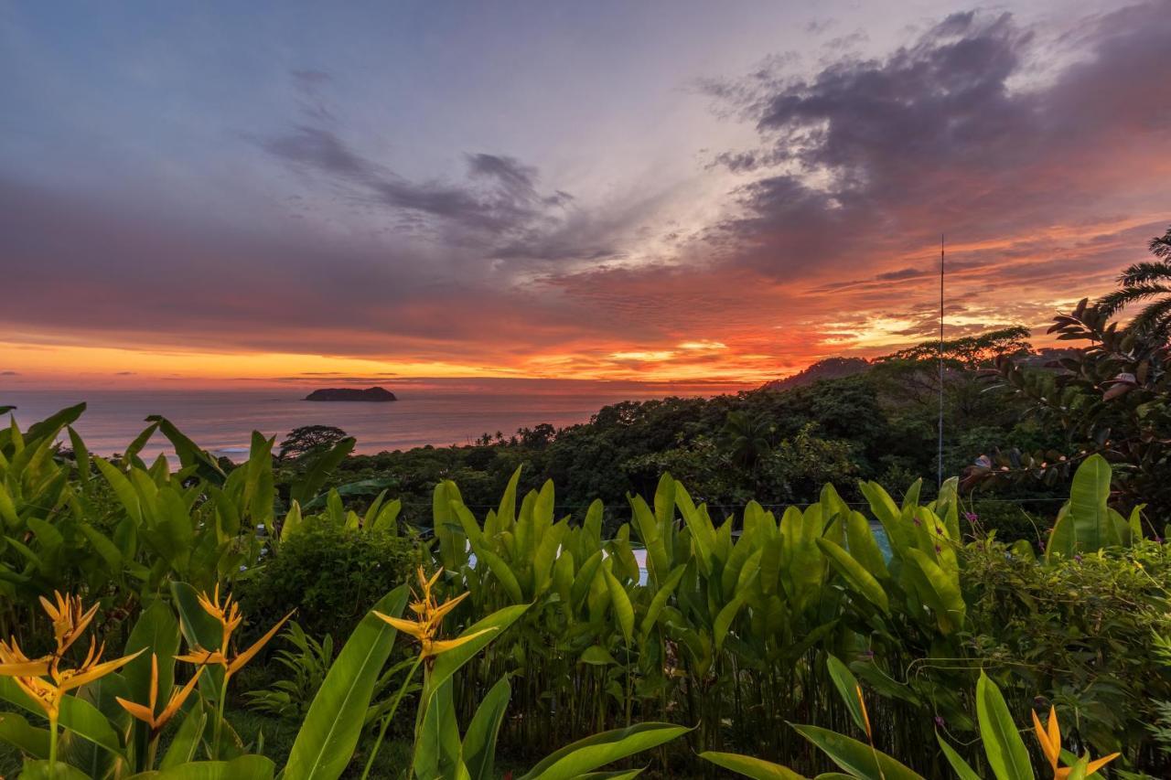 Villas De La Selva Nationalpark Nationalpark Manuel Antonio Exterior foto